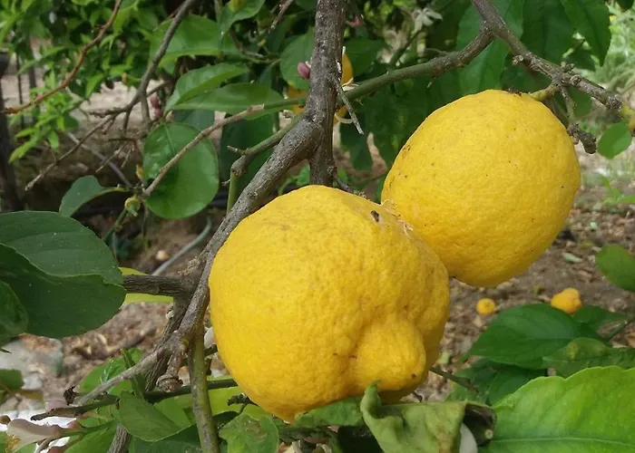 Akropolis Apart-hotel